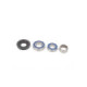 ALL-BALLS Bearing&seal kit Rotax