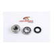 ALL-BALLS Bearing&seal kit Yamaha