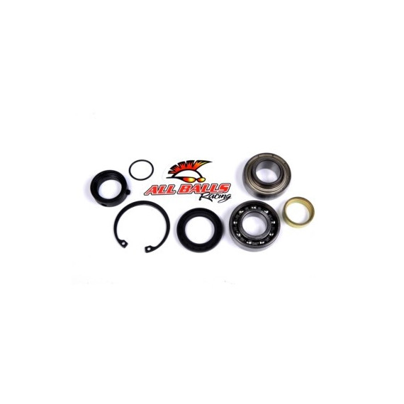 ALL-BALLS Bearing&seal kit Polaris