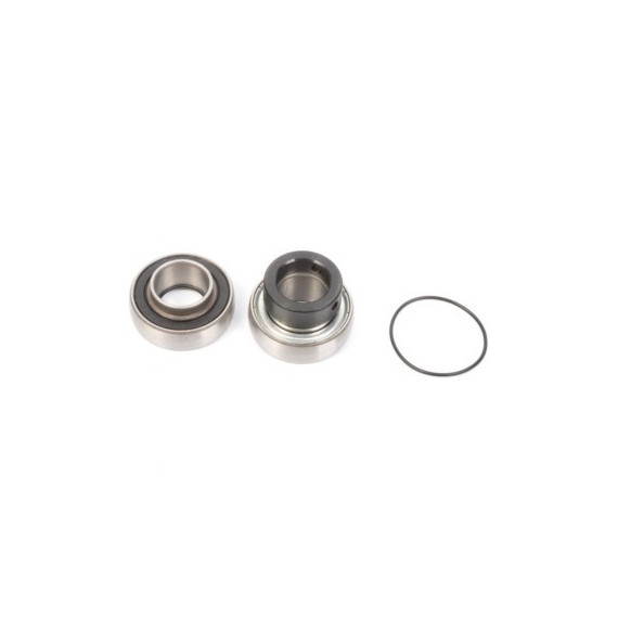 ALL-BALLS Bearing&seal kit Arctic Cat