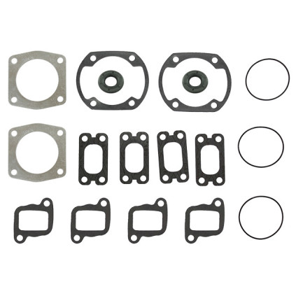 Sno-X Full set W/Oil seals Rotax 377