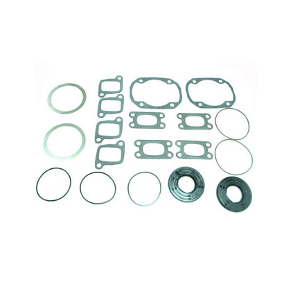 Sno-X Full set W/Oil seals 496,503 FC