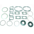 Sno-X Full set W/Oil seals 496,503 FC