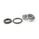 ProX Frontwheel Bearing Set VT750DCA '01-07