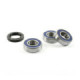 ProX Rearwheel Bearing Set M109R '06-13