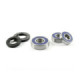 ProX Rearwheel Bearing Set Speed Master '03-13