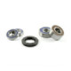 ProX Rearwheel Bearing Set VTX1300 '03-09