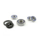 ProX Rearwheel Bearing Set XJS600 Diversion (Euro) '95-02