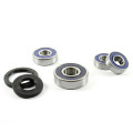 ProX Rearwheel Bearing Set XJS600 Diversion (Euro) '95-02