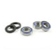 ProX Rearwheel Bearing Set Z1000 '03-09