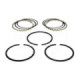 Orbitrade, piston ring kit