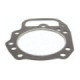 Orbitrade, cylinder head gasket