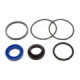 Orbitrade, gasket set powertrim pistion