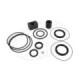 Orbitrade gasket set lower unit DP