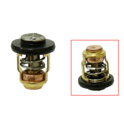 Sea-X thermostat 60°C/140°F Yamaha