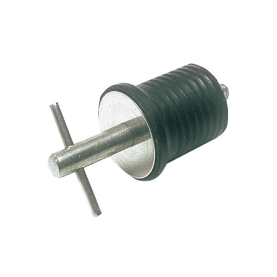 S.S drain plug 22 mm