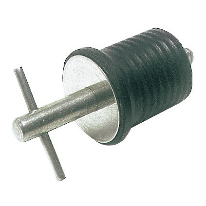 S.S drain plug 22 mm