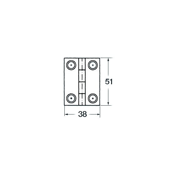 S.S blind hinge 51x38 mm rect