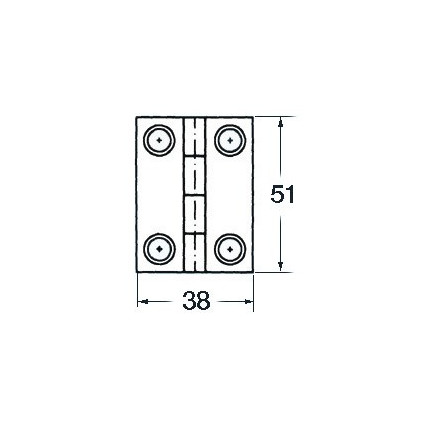 S.S blind hinge 51x38 mm rect