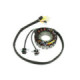 Sno-X Stator Polaris 600/800 2011-12