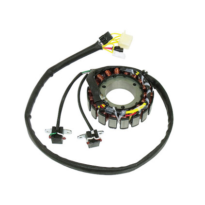 Sno-X Stator Polaris 600/800 2011-12