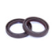 ProX Crank Seal Set KTM450/500EXC '12-16