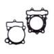 ProX Head & Base Gasket Set RM-Z250 '10-20