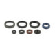 Athena Oil seal set, Suzuki RM-Z 250 07-18