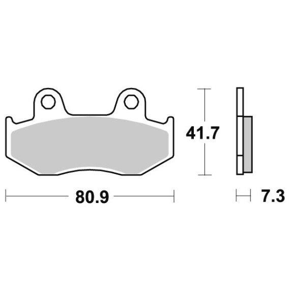 Sbs Brakepads Carbon Tech