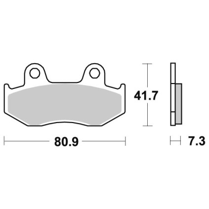 Sbs Brakepads Carbon Tech