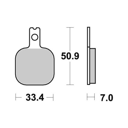 Sbs Brakepads Carbon Tech rear