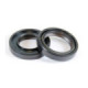 ProX Crank Seal Set YFS200 Blaster '05-06