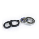 ProX Frontwheel Bearing Set TRX250 Fourtrax '85-87