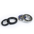 ProX Frontwheel Bearing Set TRX250 Fourtrax '85-87