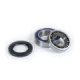 ProX Frontwheel Bearing Set TRX350TE/TM '00-06