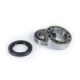 ProX Rearwheel Bearing Set YFM225 Tri-Moto '83-86