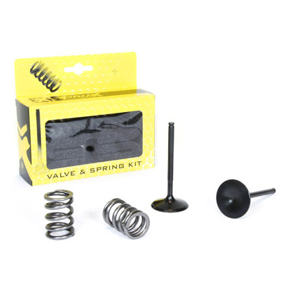 ProX Steel Intake Valve/Spring Kit LT-R450 '06-11