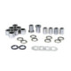 ProX Swingarm Linkage Bearing kit Gas-Gas TXT125-300 '98-12