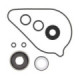 ProX Water Pump Rebuild Kit TRX420FA '09-16