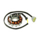 Sno-X Stator BRP 1200cc