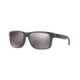 Oakley Sunglasses Holbrook Steel W/Prizm Daily Polarized