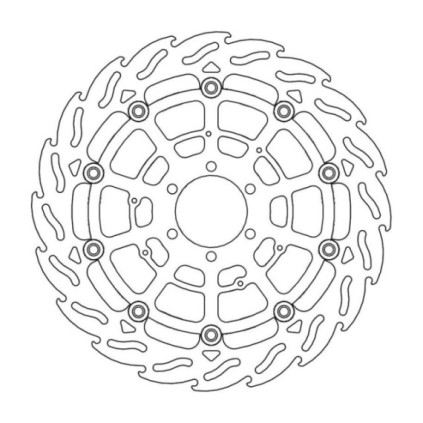 Moto-Master Flame Brakedisc front left BMW: HP4