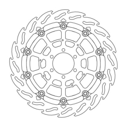 Moto-Master Racing Flame Brakedisc front left BMW: HP4