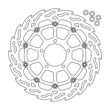 Moto-Master Flame Brakedisc front left Kawasaki: ZX-10