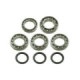 Bronco Differential Bearing & Seal Kit