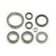 Bronco Differential Bearing & Seal Kit