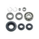 Bronco Differential Bearing & Seal Kit Honda