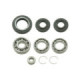 Bronco Differential Bearing & Seal Kit Honda