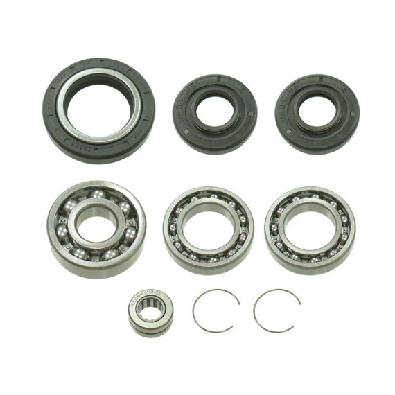 Bronco Differential Bearing & Seal Kit Honda