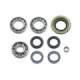 Bronco Differential Bearing & Seal Kit